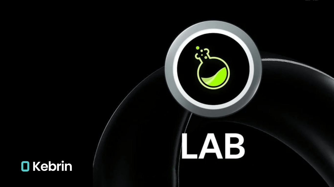 توکن LAB