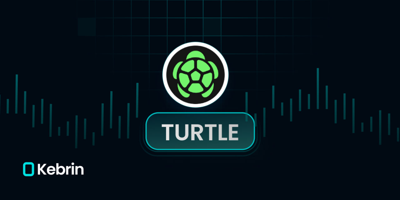 خرید ارز Turtle از صرافی کبرین