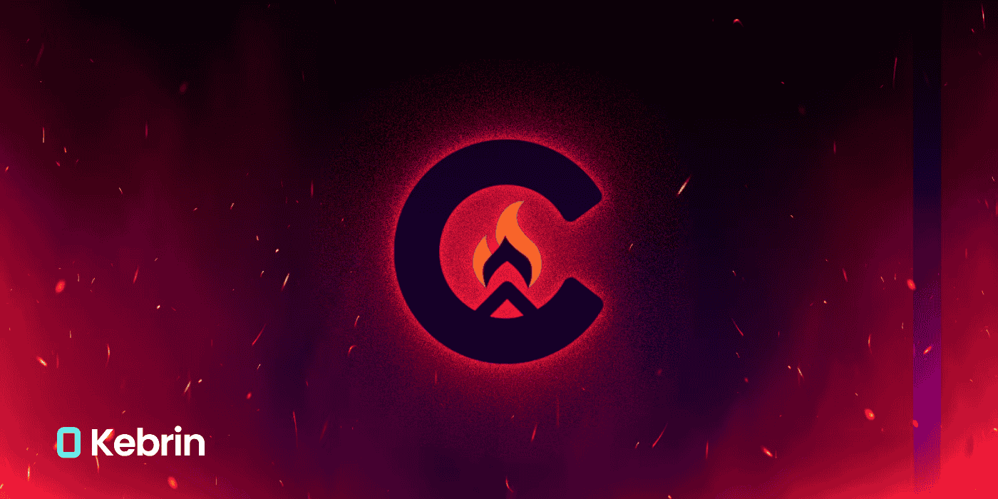 ارز کمپ نتورک